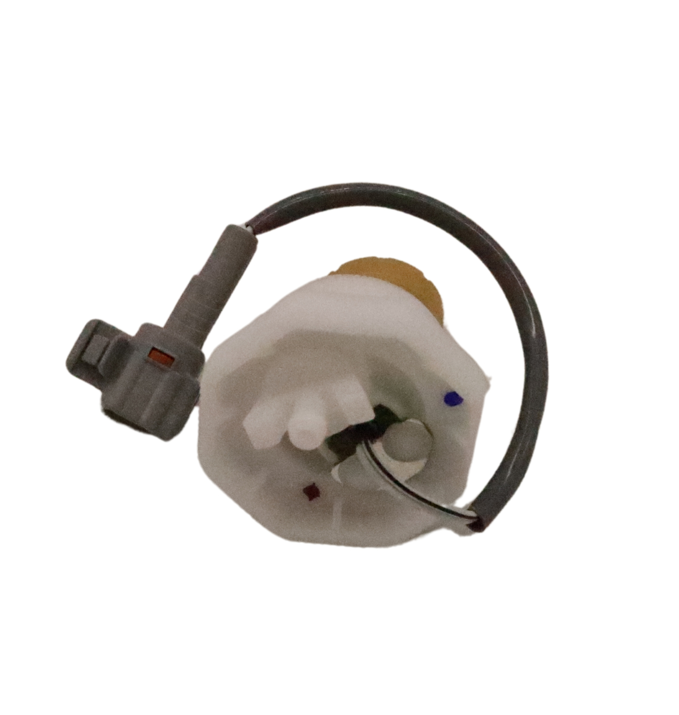 Untitled design - ED0080890100-S_A