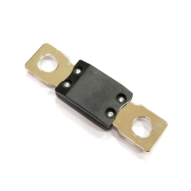 Avant Fuse, 100 Amp Time Delay
